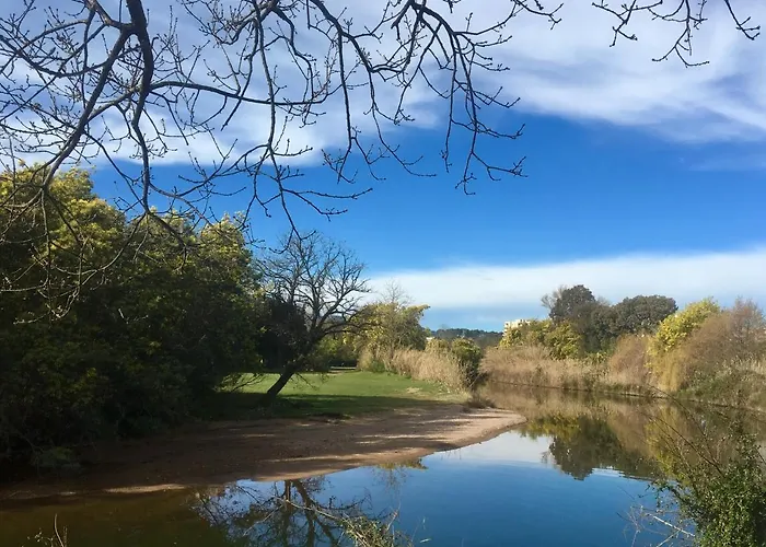 Bord De Avec Vue Daire Mandelieu